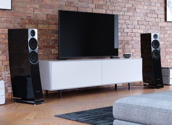 Pylon Audio Jasper 25 MKII - cecha 4